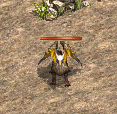 6.gif